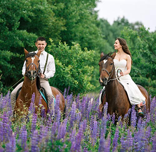 Lolelai Suspenders For Women And Men | Elastic, Adjustable, Y-Back | Pant Clips, Tuxedo Braces (1, Black) #TOP5