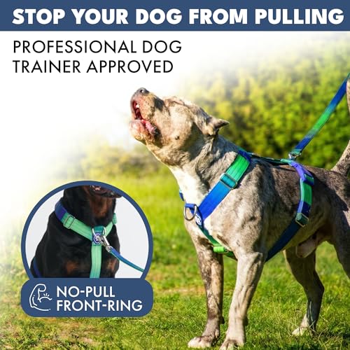 Image of Spark Paws No Pull Dog Harness with Handle for Large Dogs, Heavy Duty Dog Harness for Big Strong Breeds, Adjustable, Y Shaped Padded Halter Design with Front Clip - Lime Wave - S