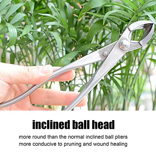 Herramienta Corte Bonsai Basic Inox 21 cm miniatura 2