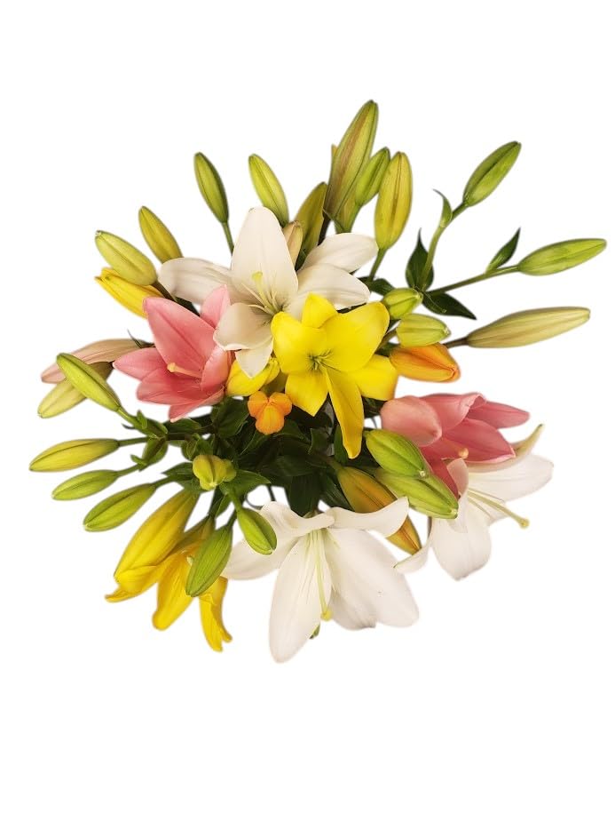 KaBloom - Summer Collection-10 Stem Lily Rainbow Fields-With Vase - Fresh Flowers for Birthday, Valentine's & Mother's Day