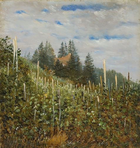 Affiche Vignoble à Pillnitz Carl Gustav Carus pour créer un espace de travail inspirant