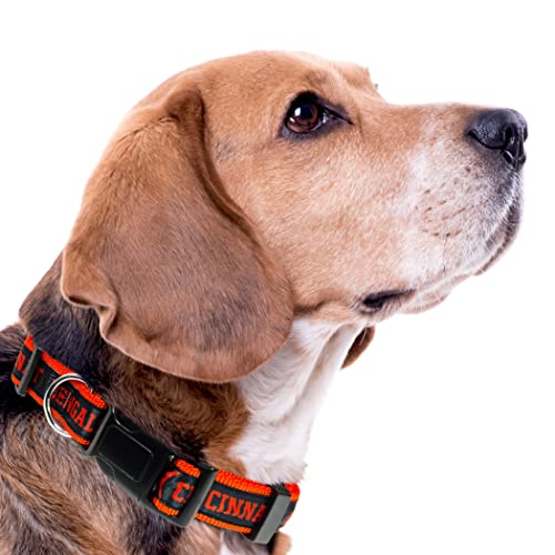 Pets First NFL Cincinnati Bengals Hundehalsband, lizenziert, Größe S, strapazierfähig, robust und langlebig, erhältlich in 31 Fußballmannschaften und 4 Größen