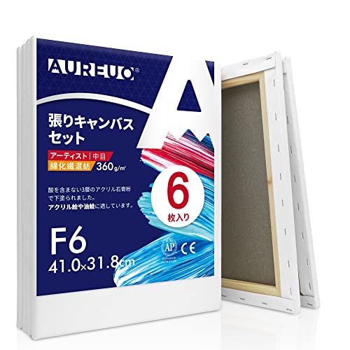 AUREUO 張りキャンバス セット F6  中目 綿化繊混紡 6枚 初心者 絵画用具 芸術絵創作 現代油絵 美術装飾 水彩画 油絵画 アクリル兼用