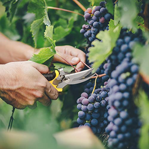 Love&Mini Pruning Shears Garden Clippers Bypass Pruners - 7.5\" Hand Gardening Cutter Clippers for Plants Garden Tools with Spring and Stainless Steel Blade - Thumbnail 7