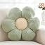 Plush-sage Green