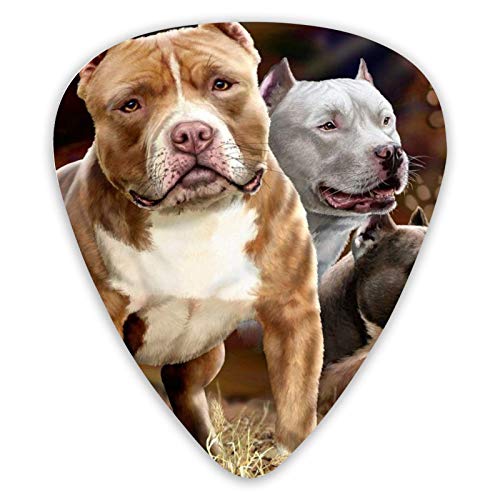 Médiators pour guitare Adorables pics de basse Pit Bulls Premium pour guitare électrique et guitares basses avec trois… - Les Beatles, Paul McCartney, John Lennon, RIngo Starr, George Harrison Médiators pour guitare Adorables pics de basse Pit Bulls Premium pour guitare électrique et guitares basses avec trois…