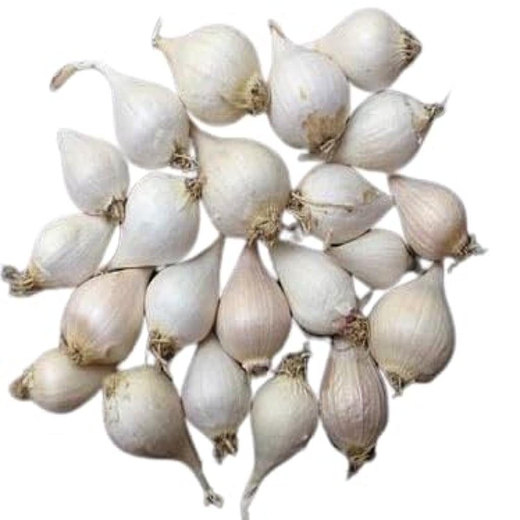 RootBloom Dry Ek Pothi Lahsun Organic Single Clove Garlic 250g (0.250 Kg) Grade-A Qualilty (Not Hybrid) — Amazon image 7