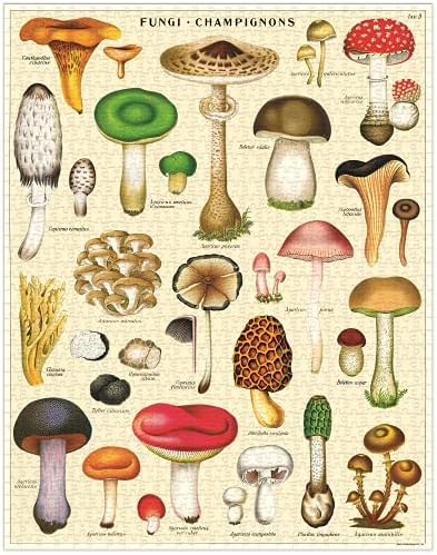 Cavallini & Co. 1000 Piece Vintage Puzzle, Mushrooms (PZL/MUSH), Adult image 4