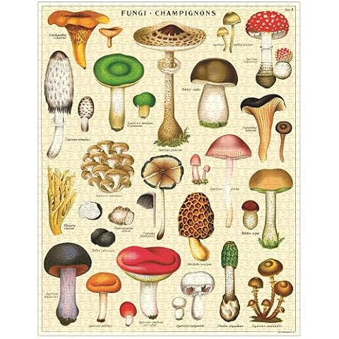 Cavallini & Co. 1000 Piece Vintage Puzzle, Mushrooms (PZL/MUSH) Cover