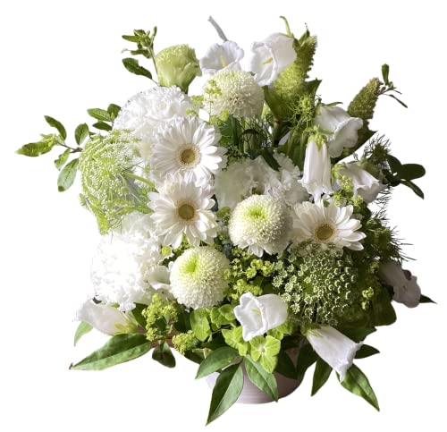 Avail  t[AWg   ~ V~ ފ  @  N[ (M, SȂ, )