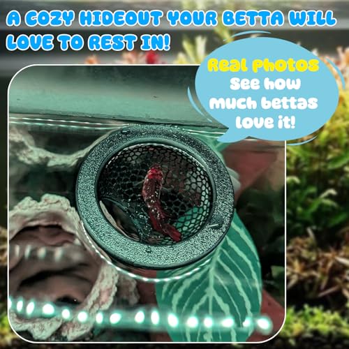 image for sicutoz Floating Betta Hide & Shrimp Cave – 3D Printed Aquarium Deco