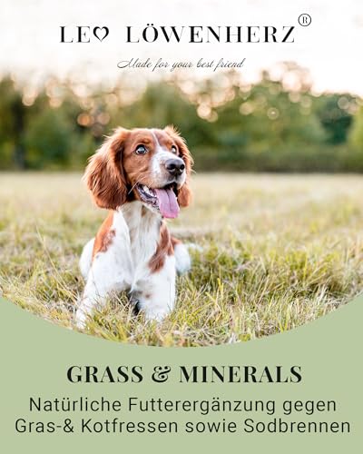 LEO LÖWENHERZ Gras- & Kotfresser Leckerlis für Hunde - 370g - Natürliche Drops zur Futterergänzung - Zuckerfrei & getreidefrei - Made in Germany