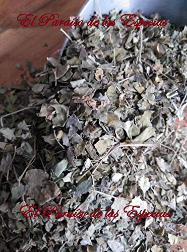 Moringa Hojas 1000 gr - Moringa para Infusión Natural 100 % 1 Kg