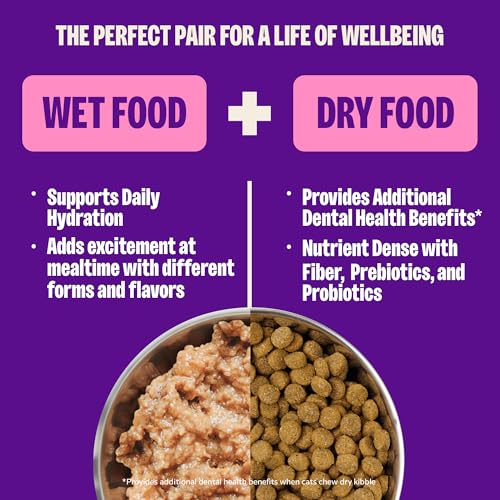 Image of Wellness Complete Health Pate Kitten Canned Wet Cat Food, Natural, Protein Rich, Grain Free, Whitefish and Tuna Entree Recipe, 5.5 oz, Pack of 24 Cans