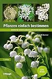  Pflanzen einfach bestimmen: Schritt für Schritt einheimische Arten kennenlernen