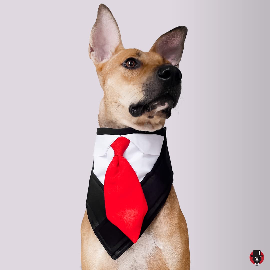 That Dog In Tuxedo Party Dog Tux Vest/Bandana - Large (B01CZKDN38) Amazon Price History, Amazon Price Tracker