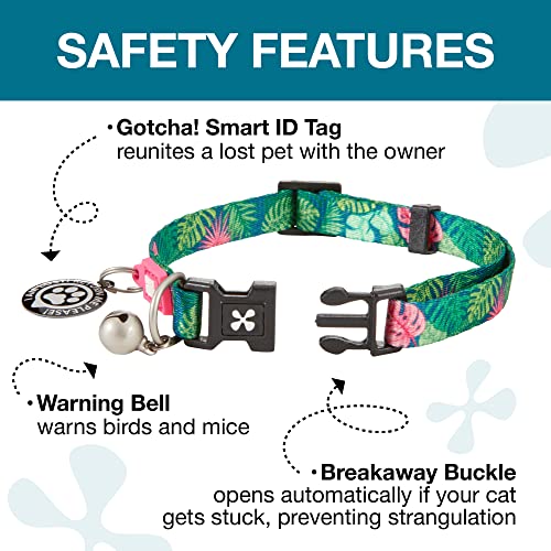 Max & Molly Cat & Kitten Collar With Bell & Breakaway Safety Buckle, Fun Style For Girl Or Boy Cats & Kittens, Waterpoof, Comfortable, Adjustable, Includes Gotcha Qr Code Pet Id #TOP2