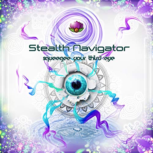 Squeegee Your Third Eye Stealth Navigator Digital Music