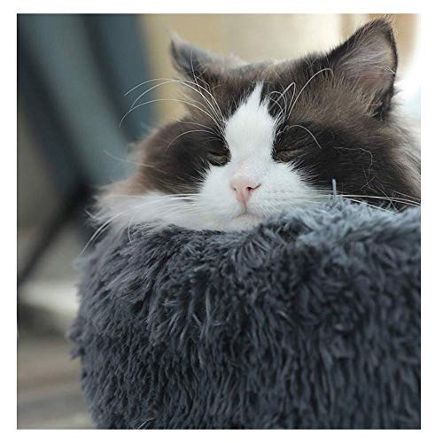 KongEU Deluxe weich Hundebett Sofa waschbar Rundes Plüsch Hundekissen Katzenbett in Doughnut-Form für große und extra große Hunde,Wasserfeste Unterseite-XXL:120CM-dunkelgrau