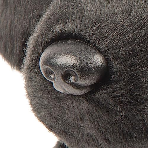 Suki Gifts International 12092 Großer ruhender schwarzer Labrador