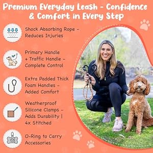 6 Foot Dog Leash 2 Extra Padded Handles Lockable Metal Carabiner Clip Durable Silicone Clamps Reflective No Pull Heavy Duty Rope Lead Walking Training Running Medium to Large Breeds  Cucciolini Doodles 6 foot dog leash 2 extra padded handles lockable metal carabiner clip durable silicone clamps reflective no pull heavy duty rope lead walking training running medium to large breeds   cucciolini doodles