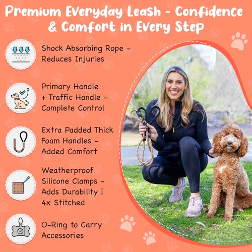 6 Foot Dog Leash 2 Extra Padded Handles Lockable Metal Carabiner Clip Durable Silicone Clamps Reflective No Pull Heavy Duty Rope Lead Walking Training Running Medium to Large Breeds  Cucciolini Doodles 6 foot dog leash 2 extra padded handles lockable metal carabiner clip durable silicone clamps reflective no pull heavy duty rope lead walking training running medium to large breeds   cucciolini doodles