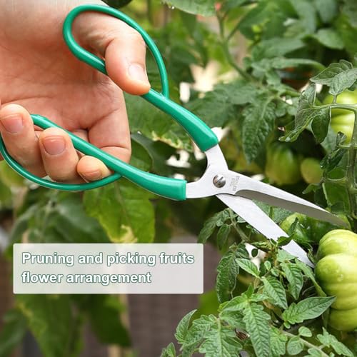 Image of HASTHIP 3Pcs Gardening Scissors Set -Stainless Steel Gardening Shears Compact Hand Pruner Floral Scissors Garden Snips, PP Anti-slip Handle Design, Utility Garden Scissor