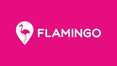 Flamingo On-Demand Fitness