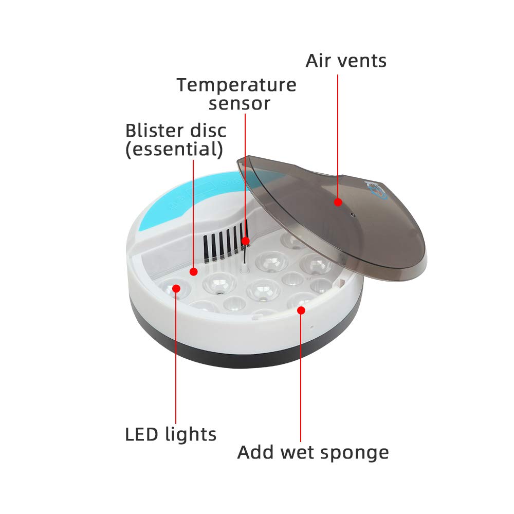 TopHomer Incubatrice automatica digitale 9 uova Mini casa con luce LED e regolazione della temperatura per pollame o regalo per bambini