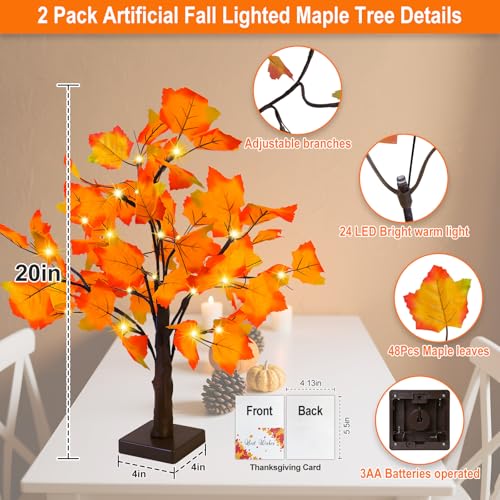 Fall Decor 2 Pack Fall Trees Artificial Lighted Maple Tree Thanksgiving Decor 48 LED Table Fall Lights Up Tree Battery Operated for Wedding Party Gifts Indoor Outdoor Autumn Harvest Home Decorations