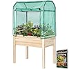 Elevated Wood Gardening Bed with Green House Cover 36L x24W x 66H Backyard Expressions