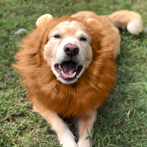 VIDSTW Lions Mane mit Realistische Ohren für Hundekostüm Halloween Löwenmähne Perücke Hundekostüm Einstellbar Löwenmähne Hund Halloween Kostüm Hund für Haustier Verkleiden (Hellbraun)