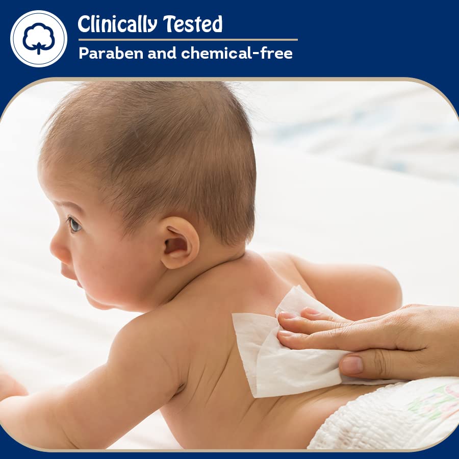 Image of Teddyy Baby Wet Wipes With Lid 240s Pack