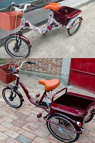 Triciclo Paseo para Adultos con Cabin, 3 Ruedas miniatura 2