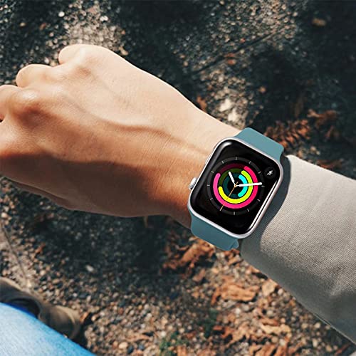 VEMIGON Sport Strap for Apple Watch 38/40/41/42/44/45/46/49mm Cactus - Image 3