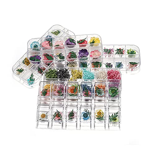 Caja de Flores Secas Naturales para Manualidades miniatura 6
