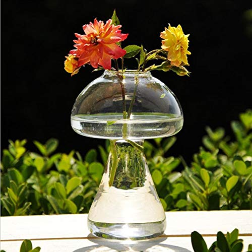 Ventichy Pack of 2 Mushroom Shaped Glass Planter Vase Desktop Clear Plant Terrarium for Hydroponics Plants Flower Garden…