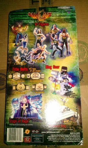 Jakks Pacific Ringside Rebels - Triple H - Series 2 Action Figure 12"