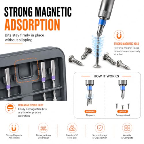 Image of DYLIFE 66 in 1 Magnetic Ratcheting Screwdriver Set with Detachable Handle, S2 Steel Bits, Flexible Shaft for Electronics, Computer, Furniture, Bike, DIY
