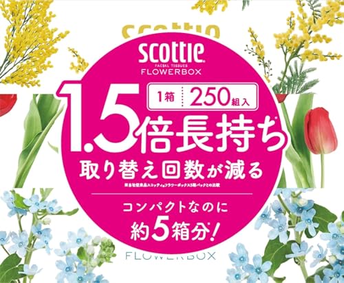 スコッティ フラワーボックス 長持ちティシュー 3箱パック 500枚(250組) ティッシュ ペーパー
