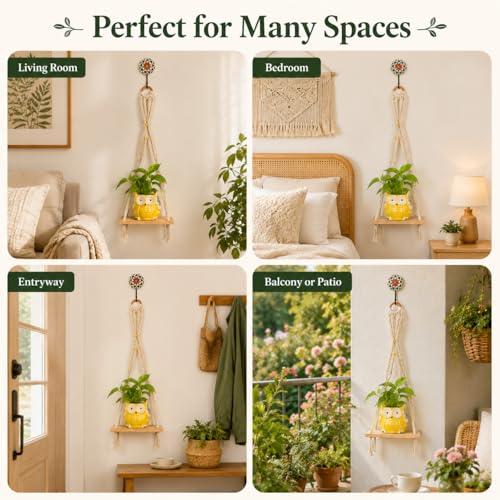Image of Kaameri Bazaar Macrame Boho Braid Mini Shelve with Owl Shaped Planter and Ceramic Hook - Macrame wall Hanging l owl Planter Pot