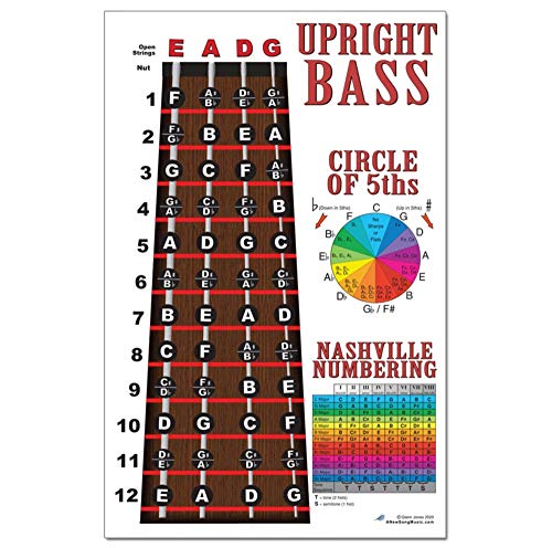 image for A New Song Music Laminated Upright Bass Fingerboard Instructional 11x1