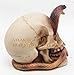 Skeleton Cobra Snake Habitat Skull Figurine Statue Sculpture Halloween