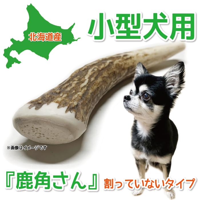 ク*ト様 天然鹿の角 犬用おもちゃ 工芸品などに　２番 Amazon | 鹿角さん 鹿の角 犬 用 おもちゃ 小型犬用 四つ割り 1
