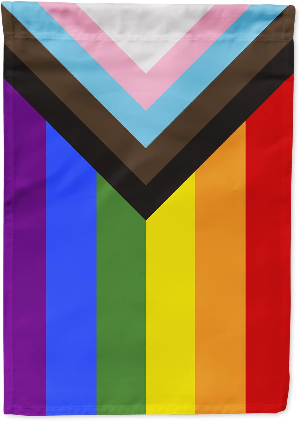 Caroline's Treasures CK8014CHF Gay Pride Progress Pride House Flag Large Porch Sleeve Pole Decorative Outside Yard Banner Artwork Wall Hanging, Polyester, House Size, Multicolor