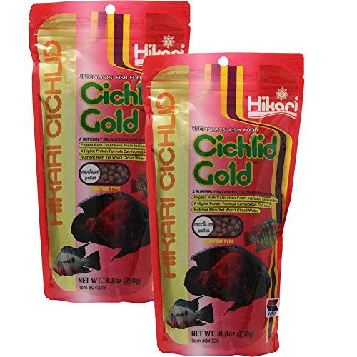 HIKARI 42055043281 kzci 8.8-Ounce Cichlid Gold Floating