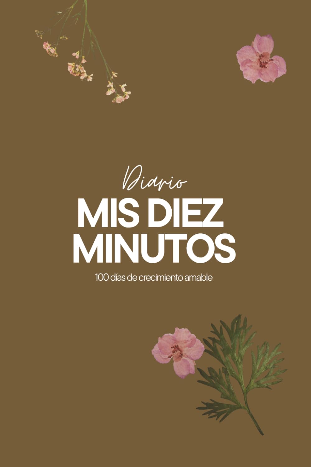 Diario Mis Diez Minutos: 100 días de crecimiento amable