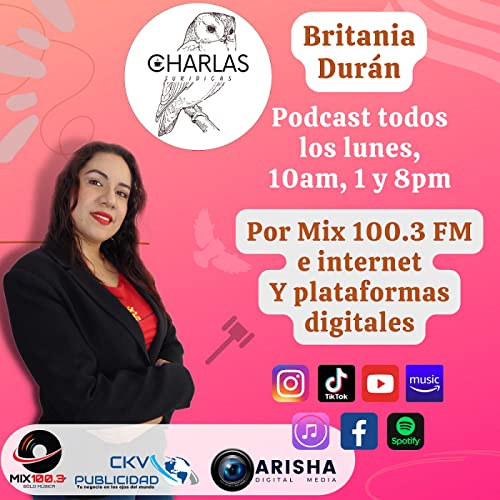 Episodio 4 - La discapacidad en un estado de derecho incluyente parte 2.