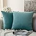 MIULEE Copricuscini Divano Camera da Letto Cuscini Arredo Fodere Arredamento Casa Federe Moderni Elegante Morbido Resistente in Velluto con la Cerniera Invisibile 2 Pezzi 60X60 CM Anatra Verde