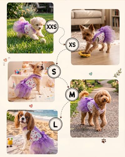 Image of CuteBone Purple Butterfly Floral Pet Dress for Small Dogs, Cats - Ruffled Double-Layer Skirt - Satin Bow - Spring Fairy Party Dress